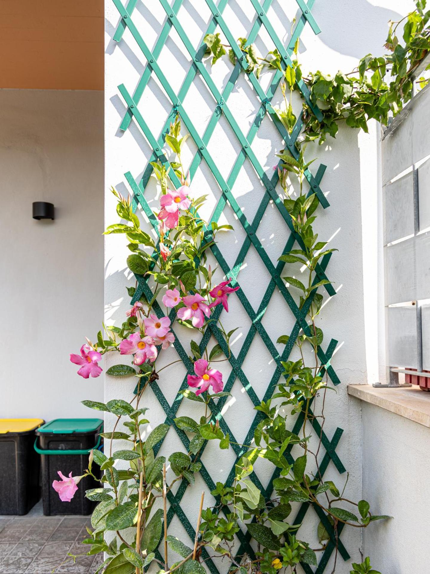 Mrb Real Estate - Maison Ludovica - Monolocale Moderno Con Giardino Frattocchie Zewnętrze zdjęcie